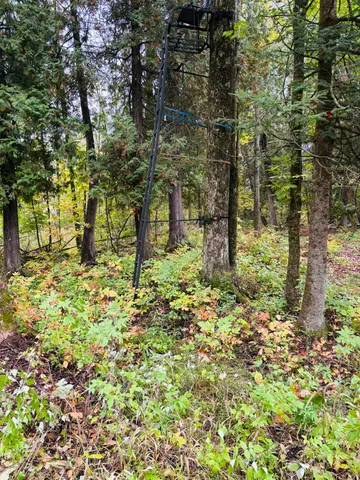 $179,000 | 10934 40th Avenue, Evart, MI 49631