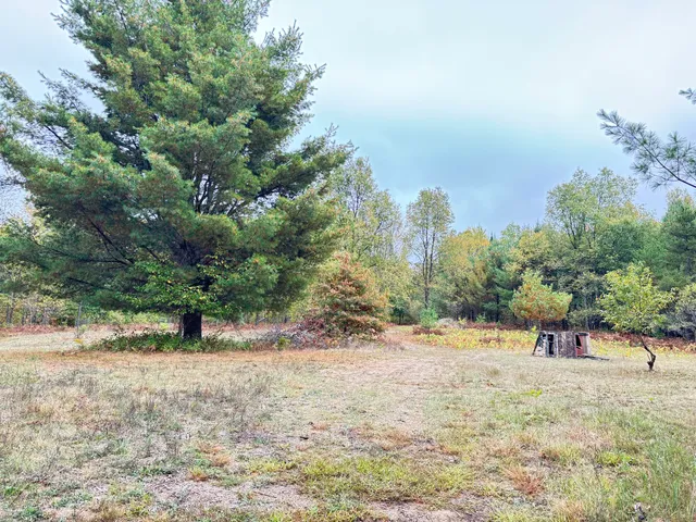 $179,000 | 10934 40th Avenue, Evart, MI 49631