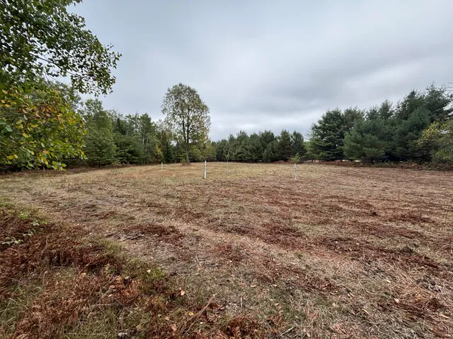 $179,000 | 10934 40th Avenue, Evart, MI 49631