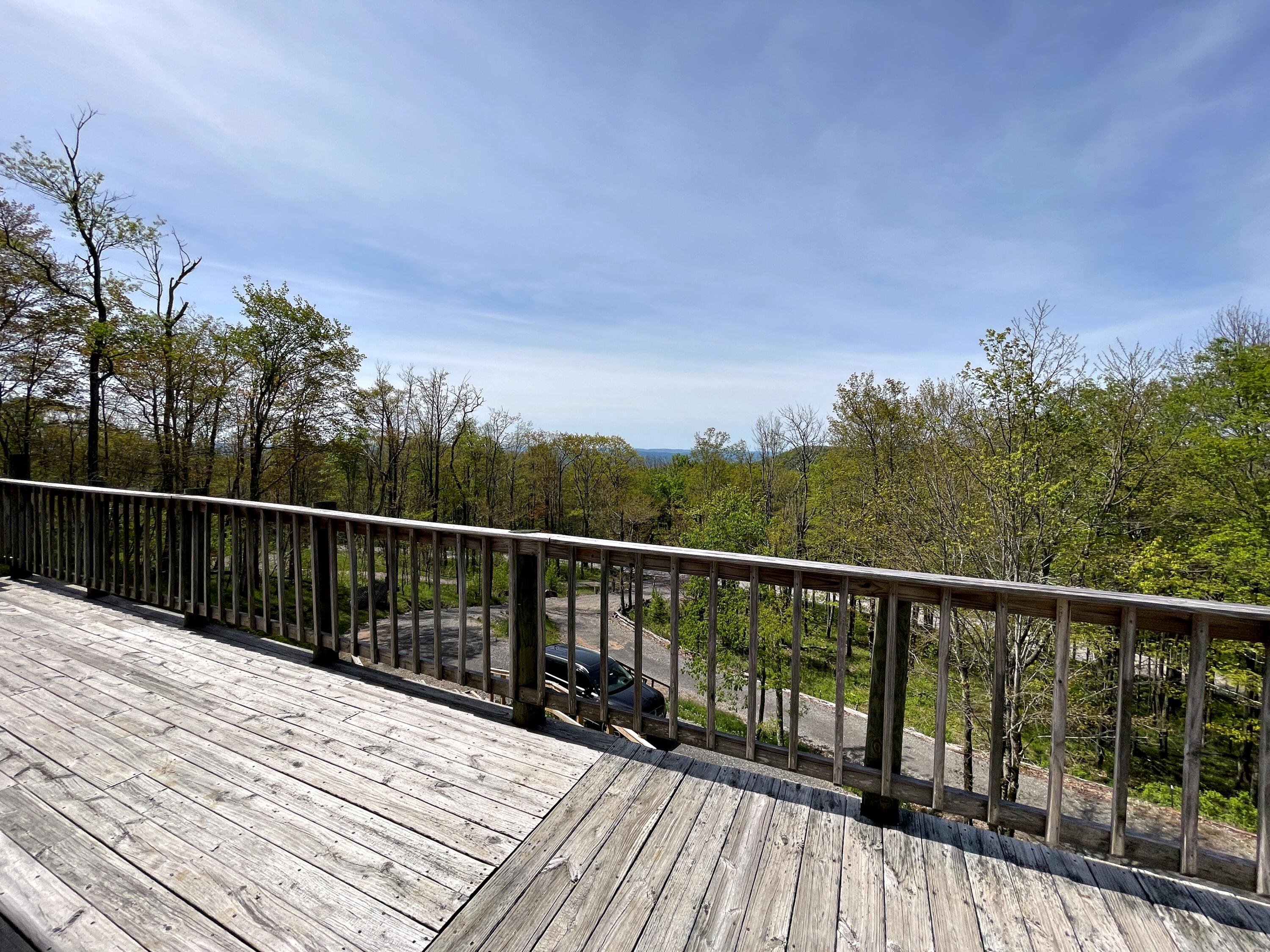 6239 Cass Road Snowshoe, WV 26209 - Photo 20 of 45 Gallery Image 20