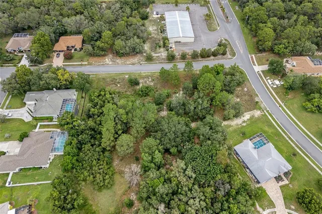 a view of a backyard with plants