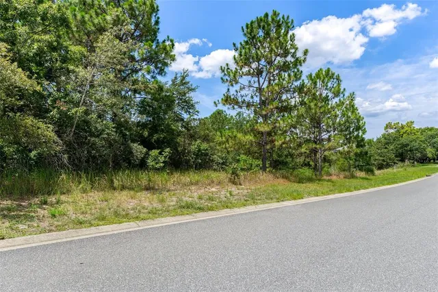 $54,000 | 0 Winding Oaks Boulevard, Hudson, FL 34667