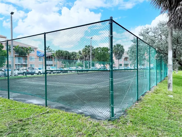 a view of a garden from a window