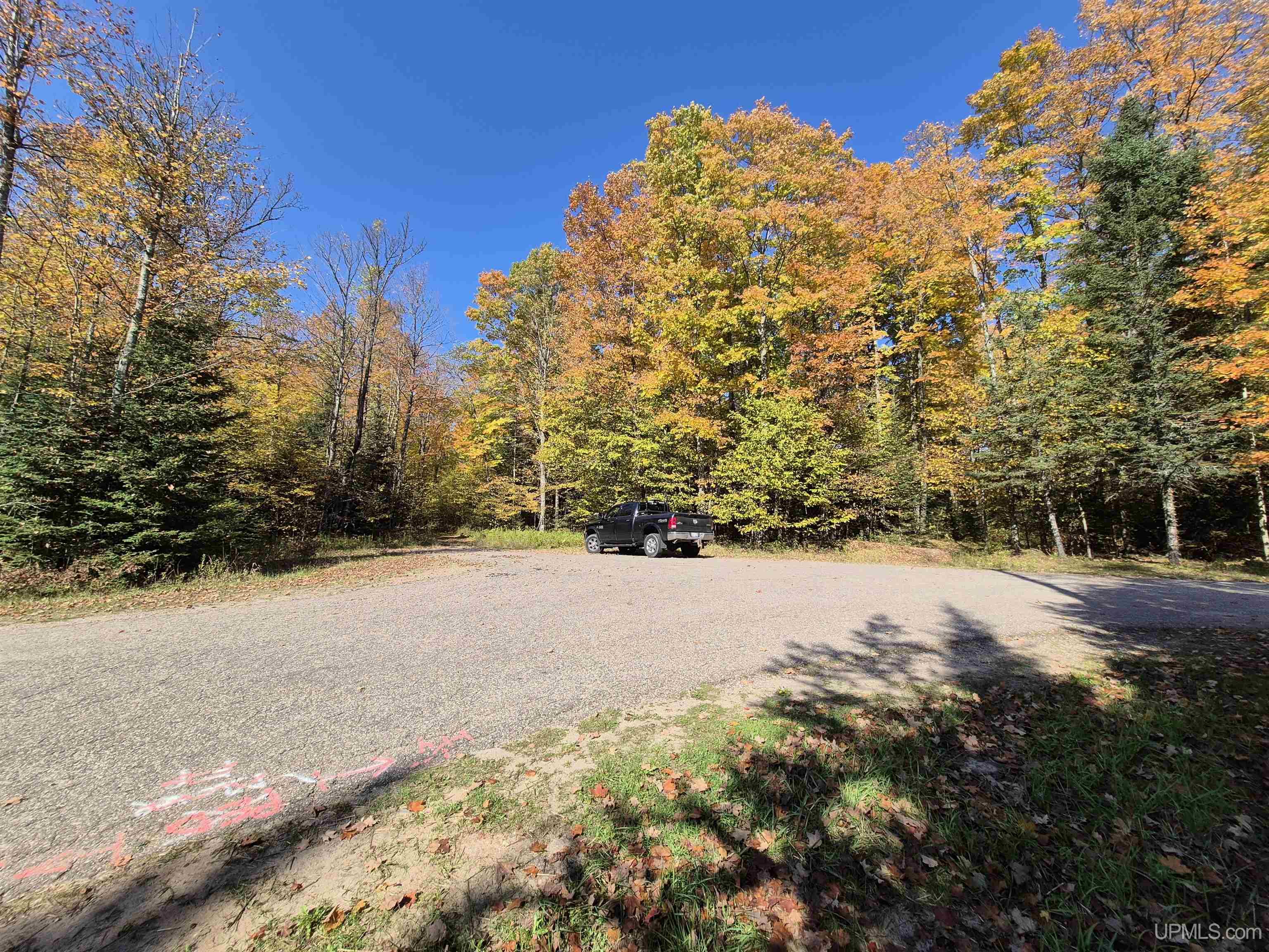 40-acres Mattson Road Felch, MI 49831 - Photo 1 of 45 Gallery Image 1