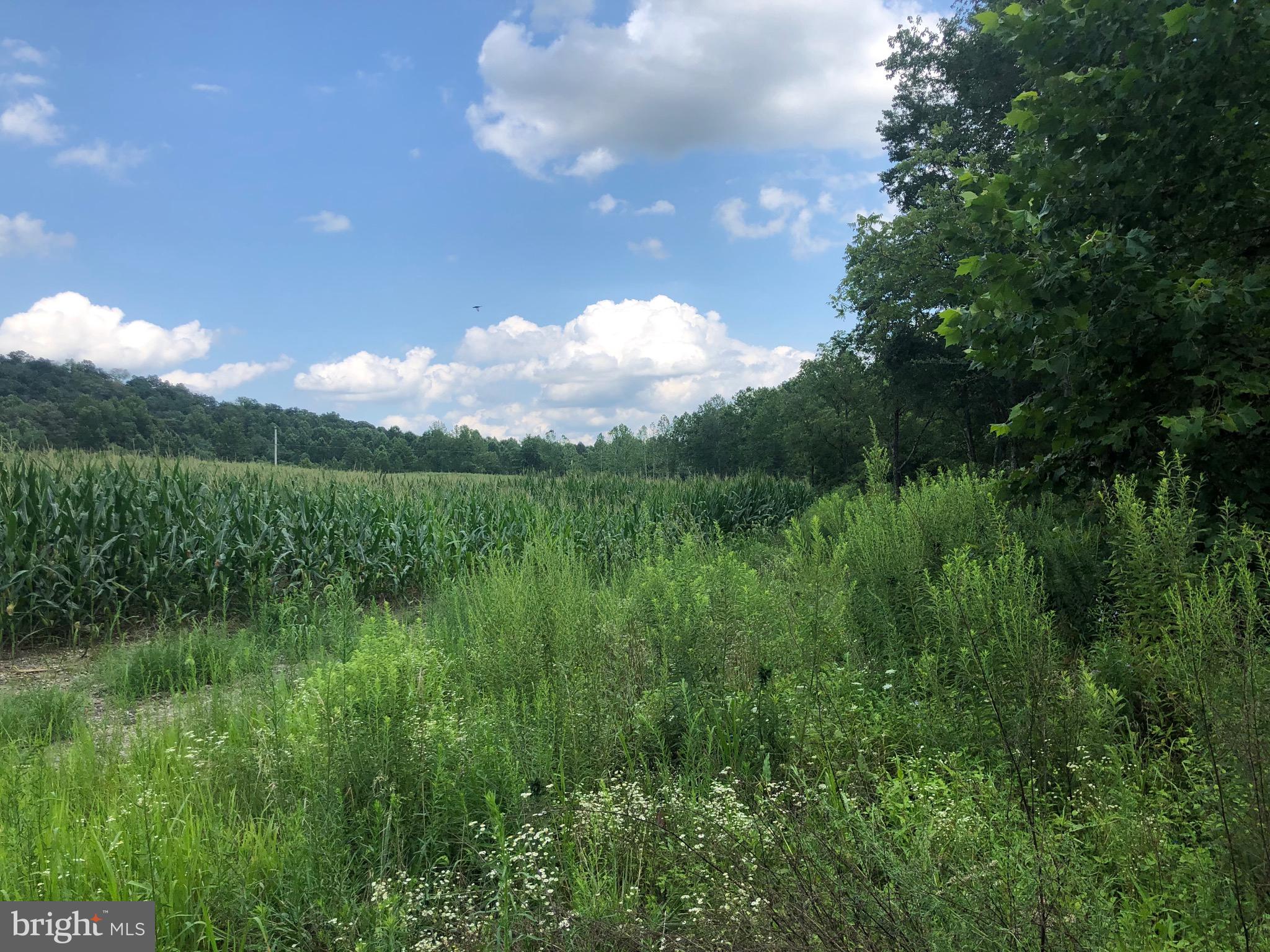 Tbd Orange Road Aroda, VA 22709 - Photo 11 of 30
