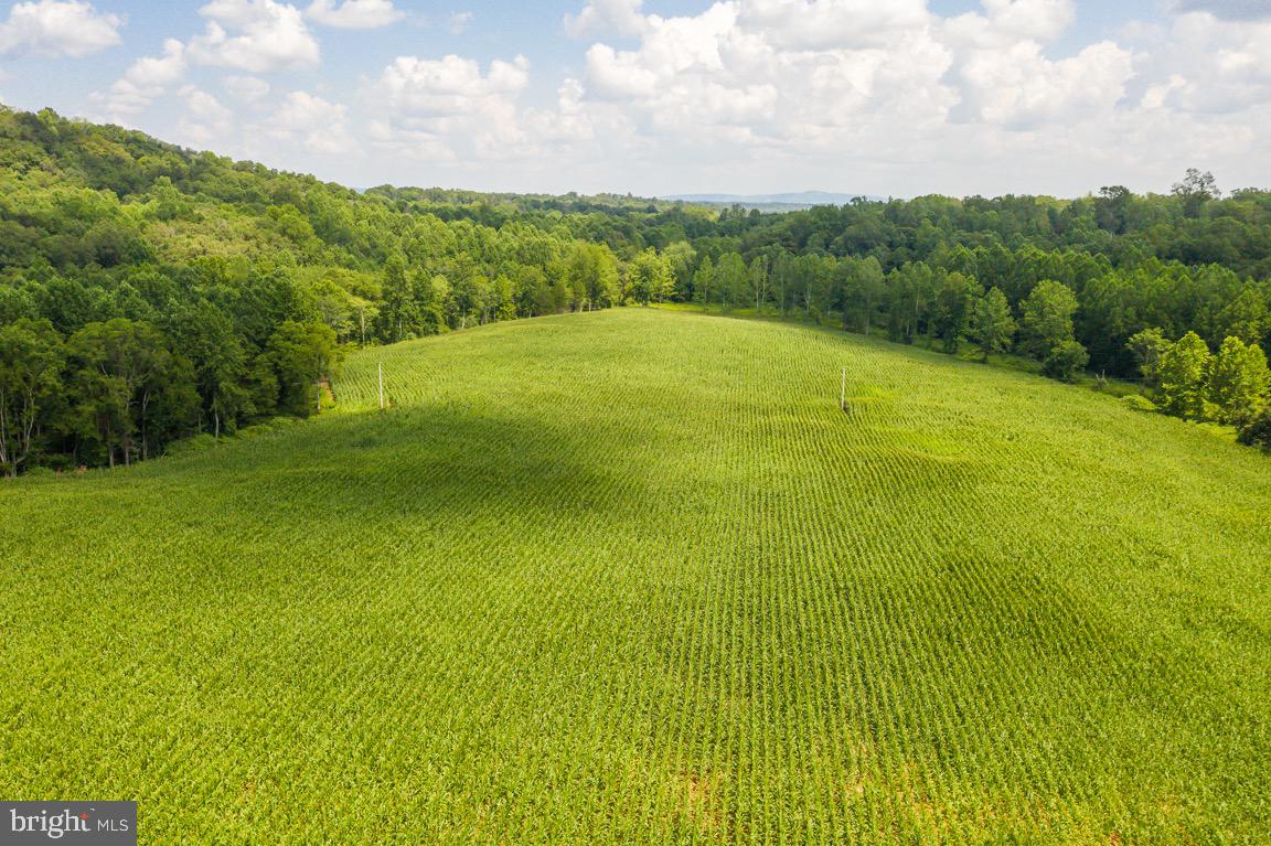 Tbd Orange Road Aroda, VA 22709 - Photo 14 of 30