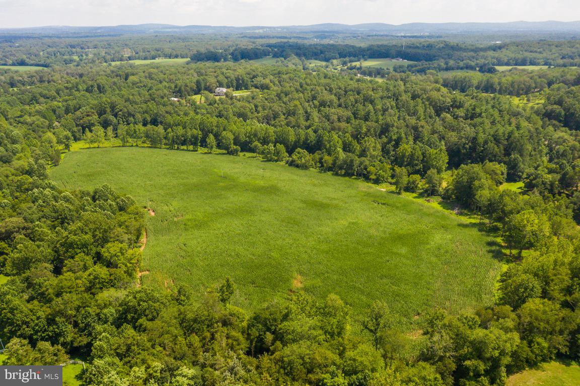 Tbd Orange Road Aroda, VA 22709 - Photo 17 of 30
