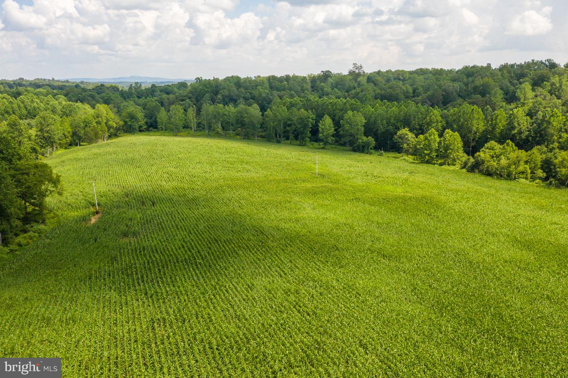 Tbd Orange Road Aroda, VA 22709 - Photo 18 of 30