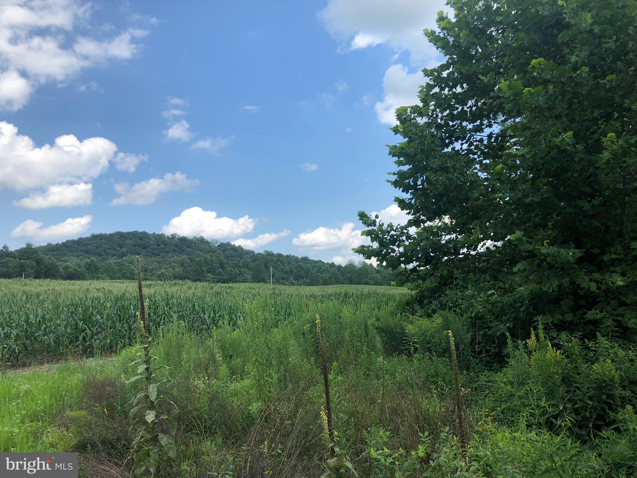 Tbd Orange Road Aroda, VA 22709 - Photo 2 of 30