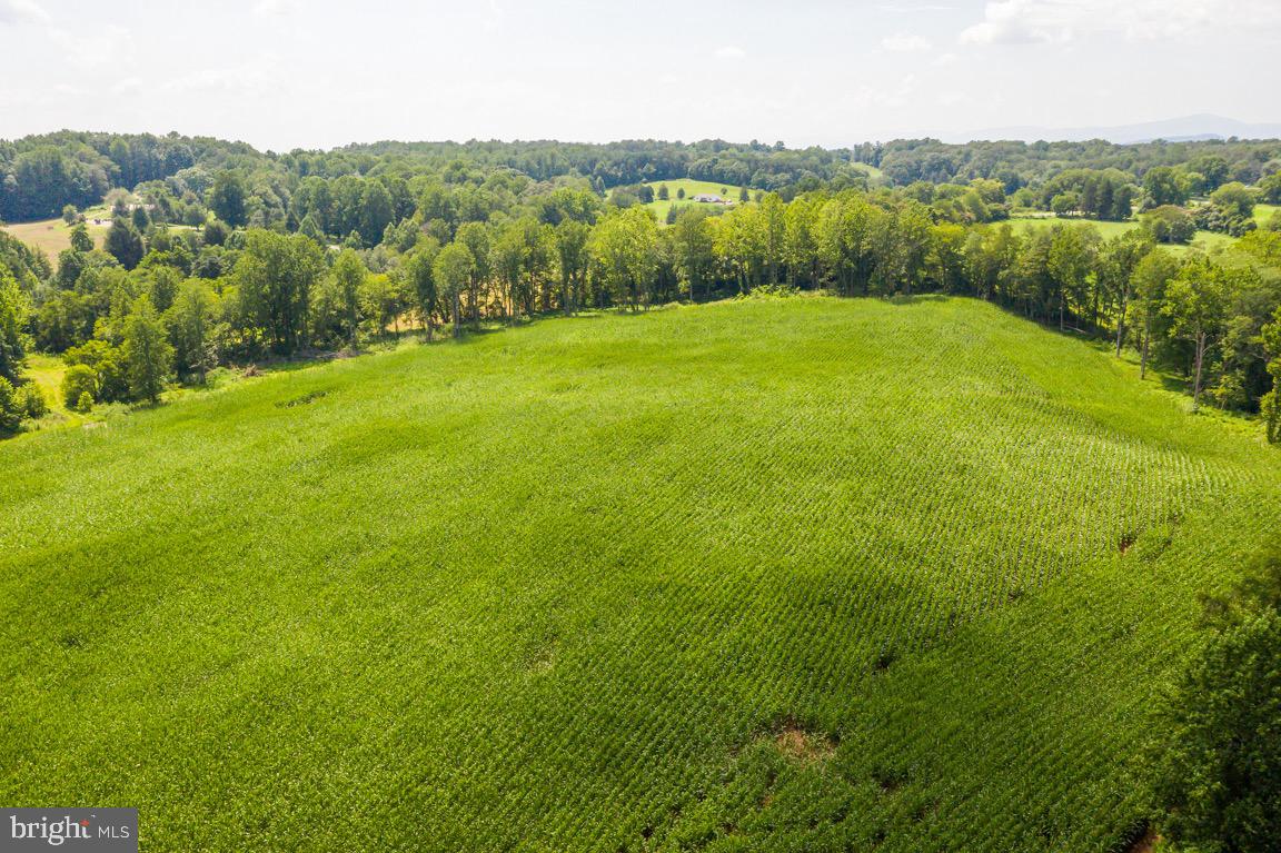 Tbd Orange Road Aroda, VA 22709 - Photo 29 of 30