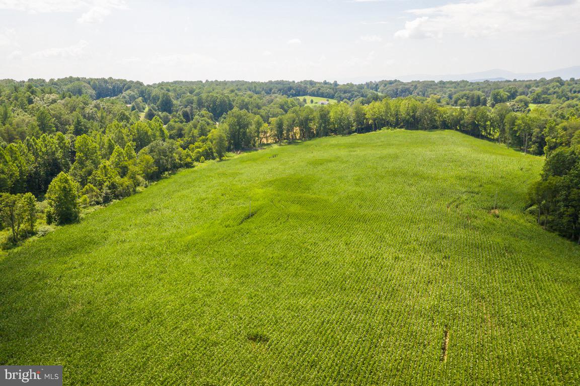 Tbd Orange Road Aroda, VA 22709 - Photo 30 of 30
