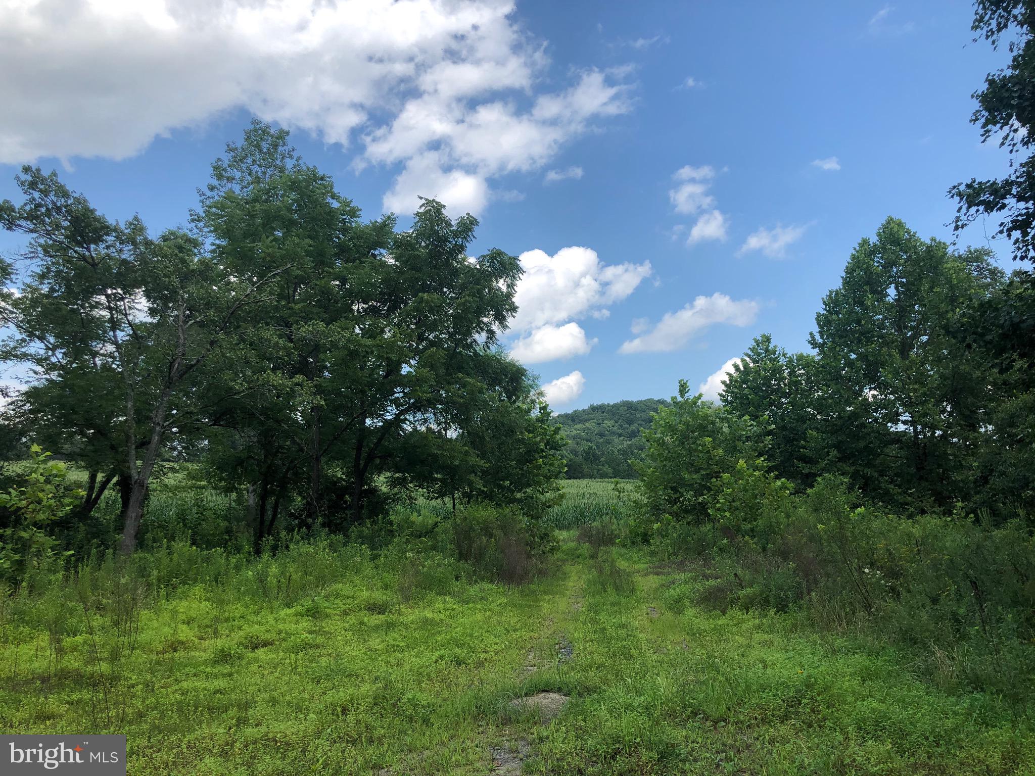 Tbd Orange Road Aroda, VA 22709 - Photo 4 of 30