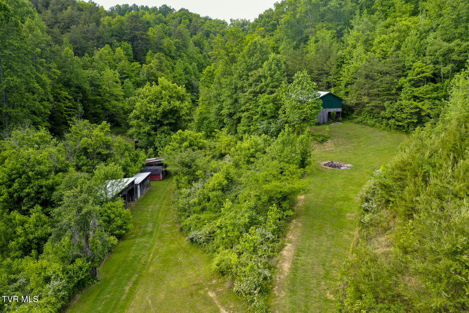 2397 Lower Rinehart Road Dandridge, TN 37725 - Photo 54 of 69 z (1)_1
