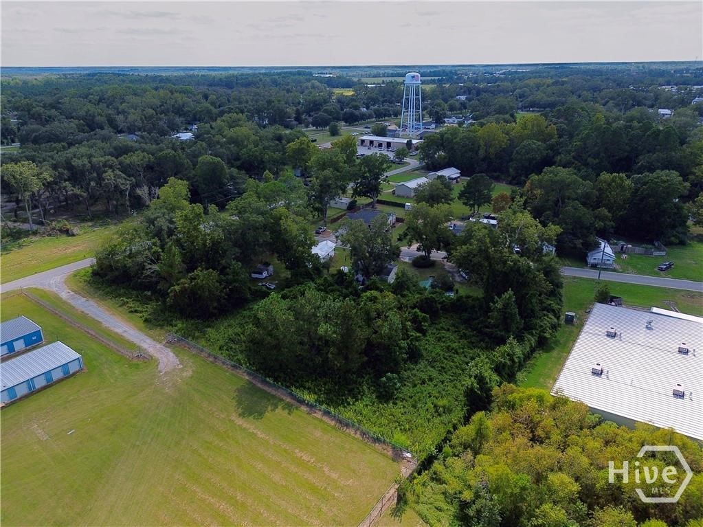 0 Turnpike Road Claxton, GA 30417 - Photo 8 of 10 Gallery Image 8