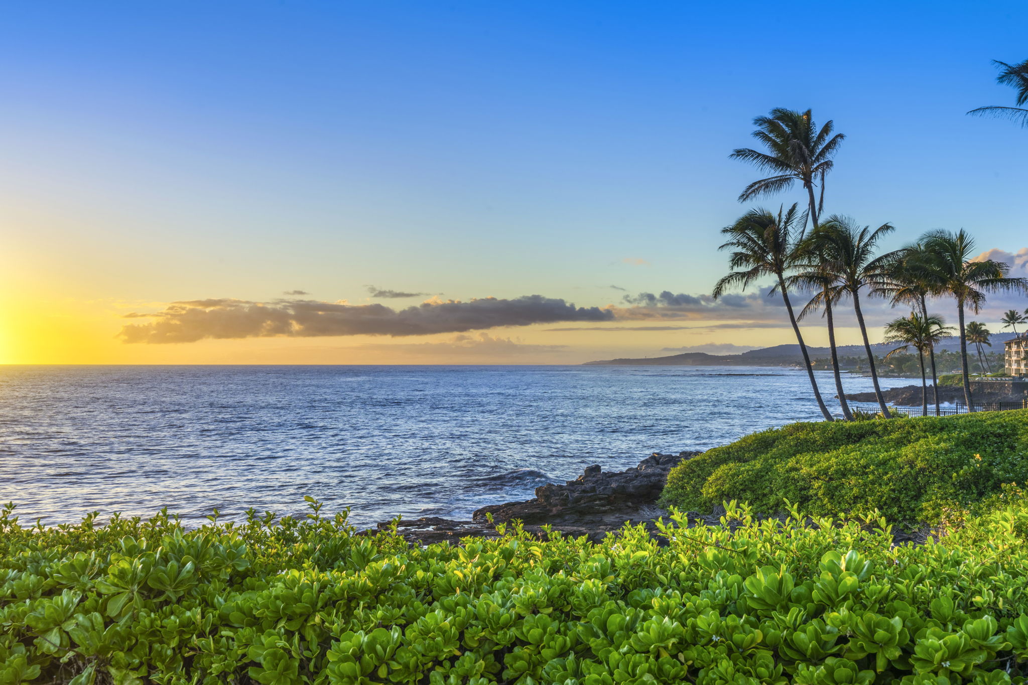 1661 Pee Road, Unit IIC205 Koloa, HI 96756 - Photo 25 of 30