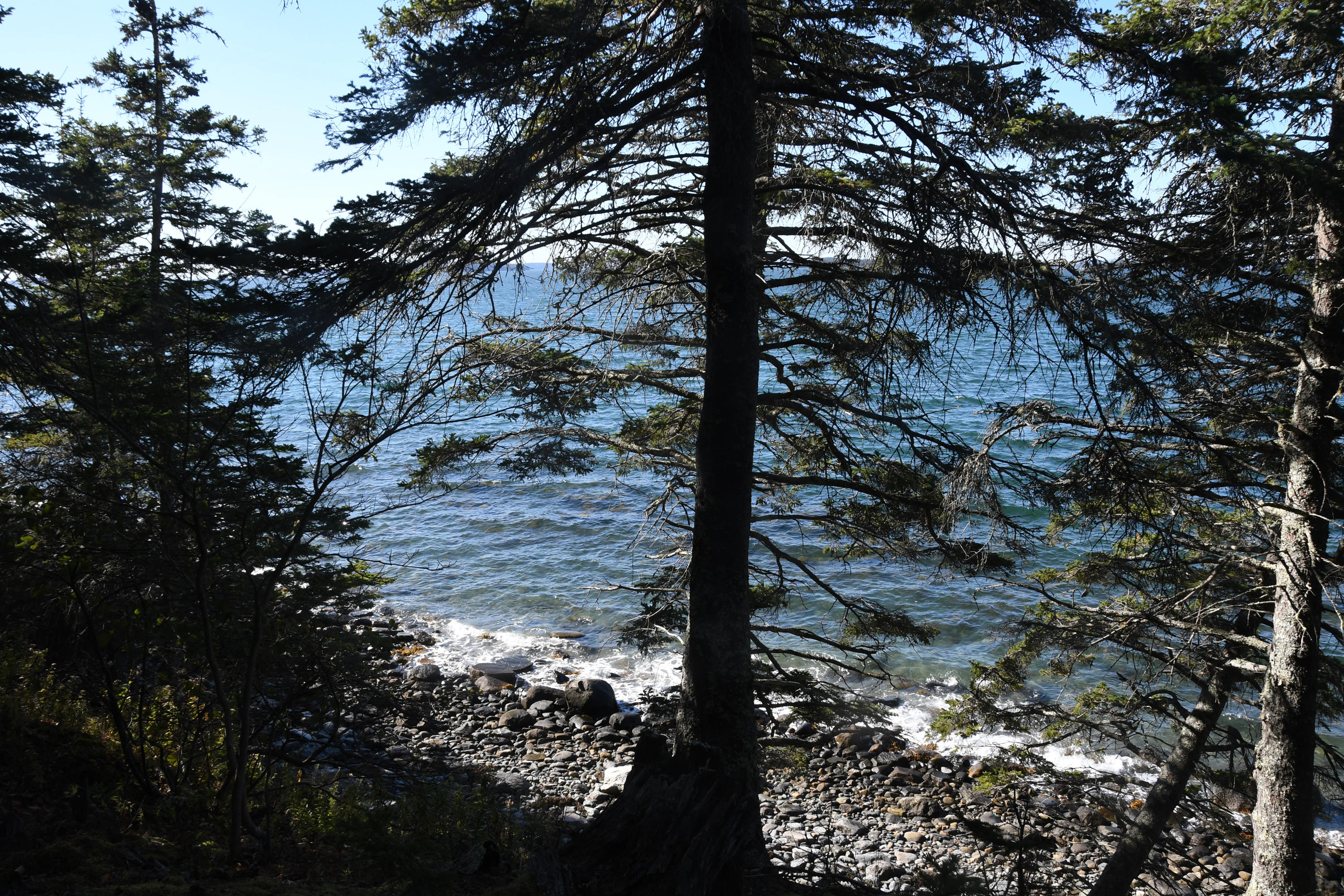 01 North Deer Isle Road Deer Isle, ME 04627 - Photo 8 of 34 20171021_AnneKeck_029