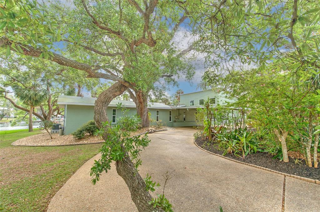 7102 Mandy Lane New Port Richey, FL 34652 - Photo 3 of 49