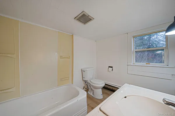 a bathroom with a toilet and a bathtub