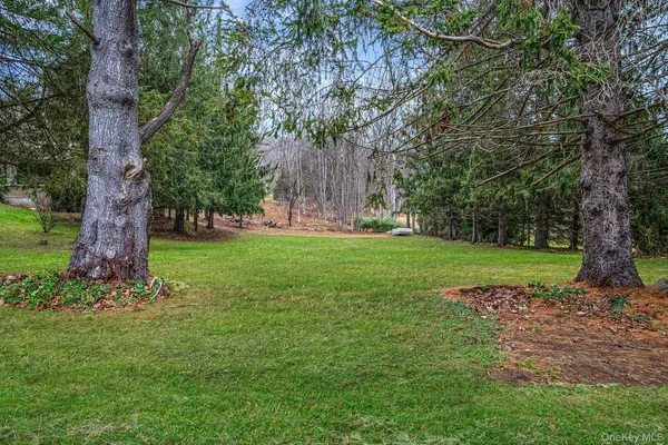 a view of a trees with a yard