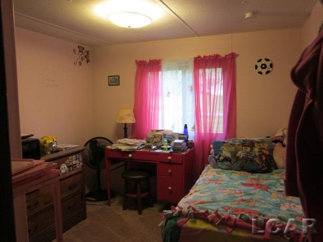 1256 Church Street Adrian, MI 49221 - Photo 4 of 5