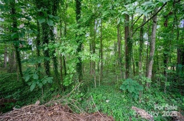 15312 Sharpe Road Mint Hill, NC 28227 - Photo 1 of 3 Gallery Image 1