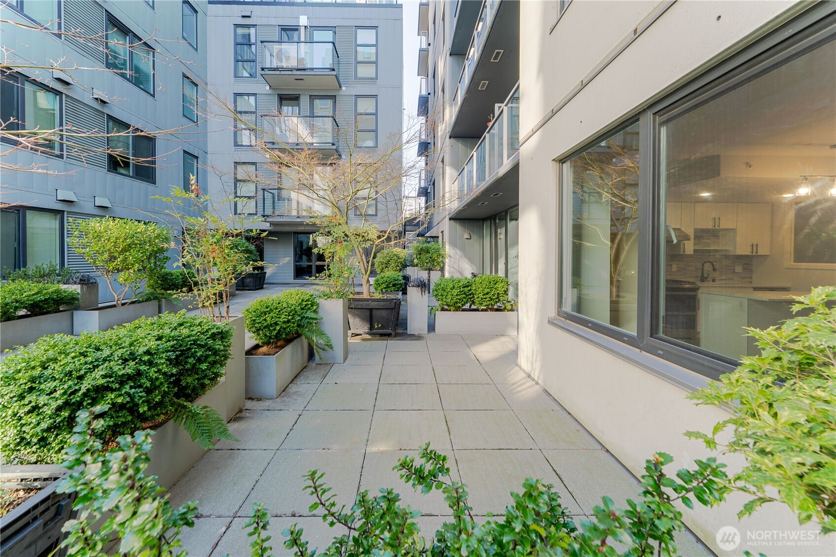 76 Cedar Street, Unit 303 Seattle, WA 98121 - Photo 19 of 29 a view of a building with a garden