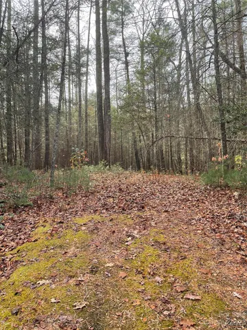 a view of outdoor space with trees