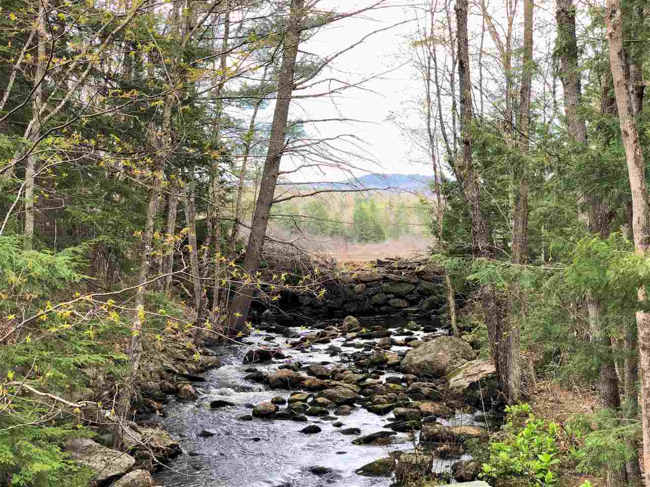 619 Town Farm Road Springfield, NH 03284 - Photo 40 of 40