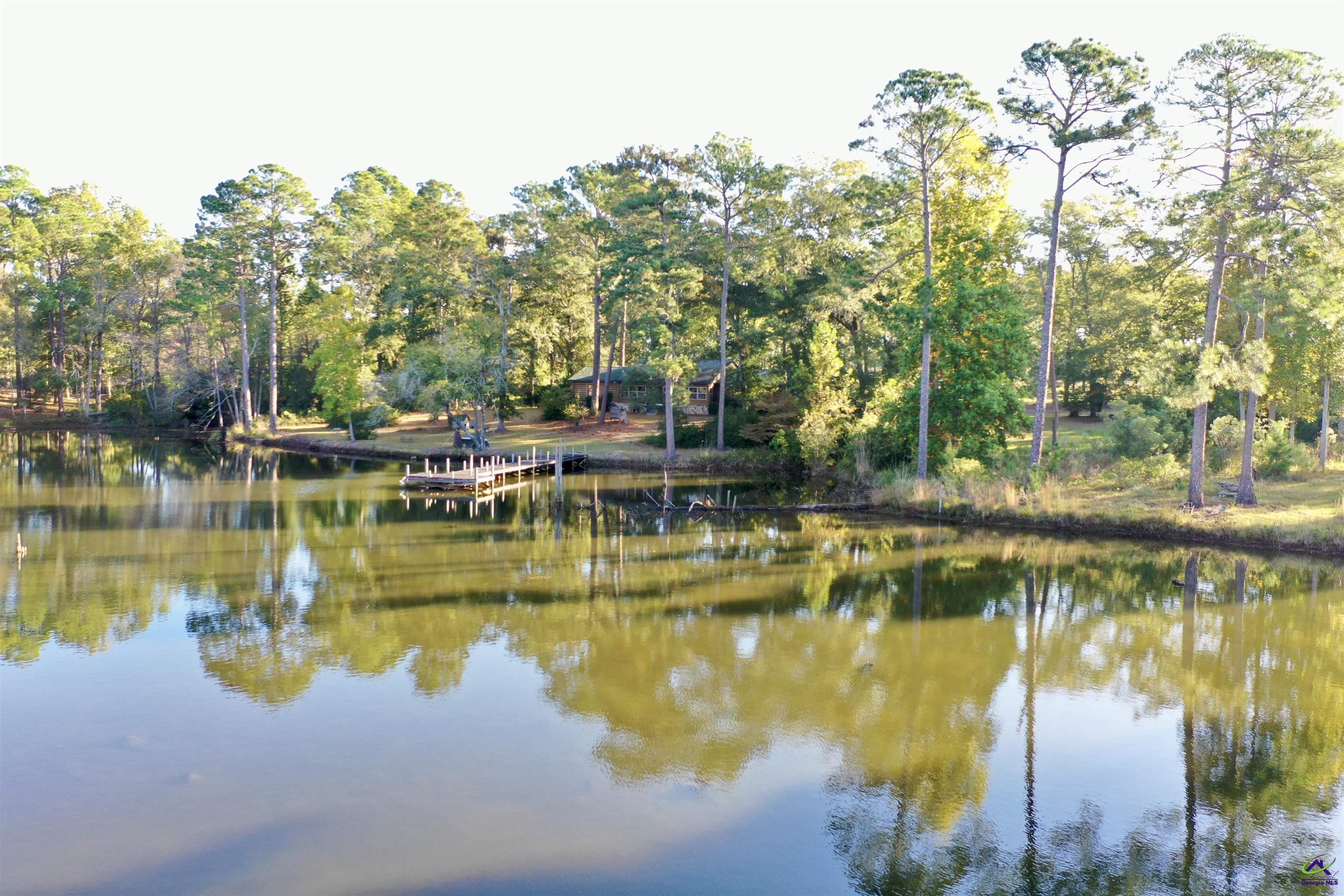 895 Isabella Terrell Road Poulan, GA 31781 - Photo 49 of 65 Gallery Image 49