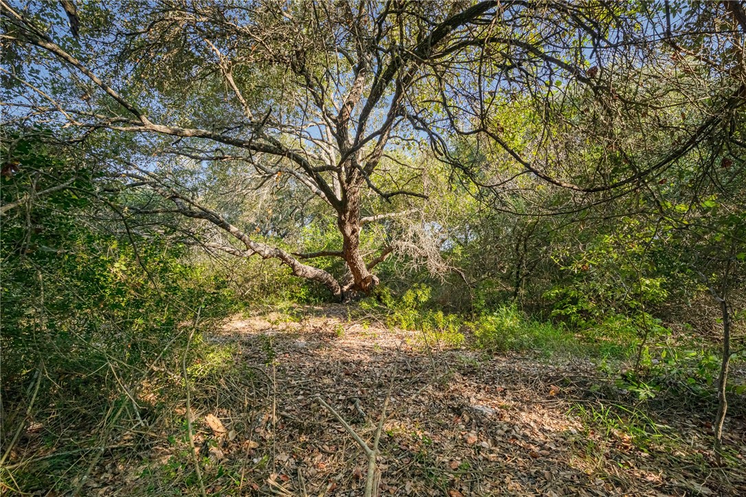 1501 Prairie Road Rockport, TX 78382 - Photo 5 of 17