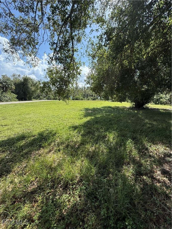 5915 Howard Lane Punta Gorda, FL 33950 - Photo 7 of 10 a view of a field with an trees