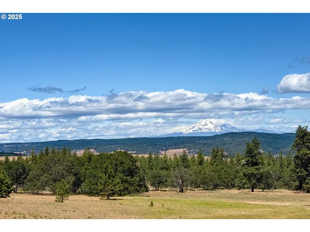 $35,000 | 4143200000700 4143200000700th, Lyle, WA 98635