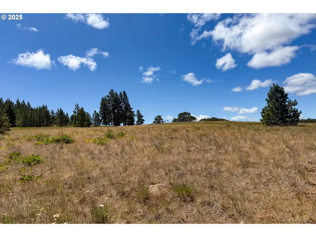 $35,000 | 4143200000700 4143200000700th, Lyle, WA 98635