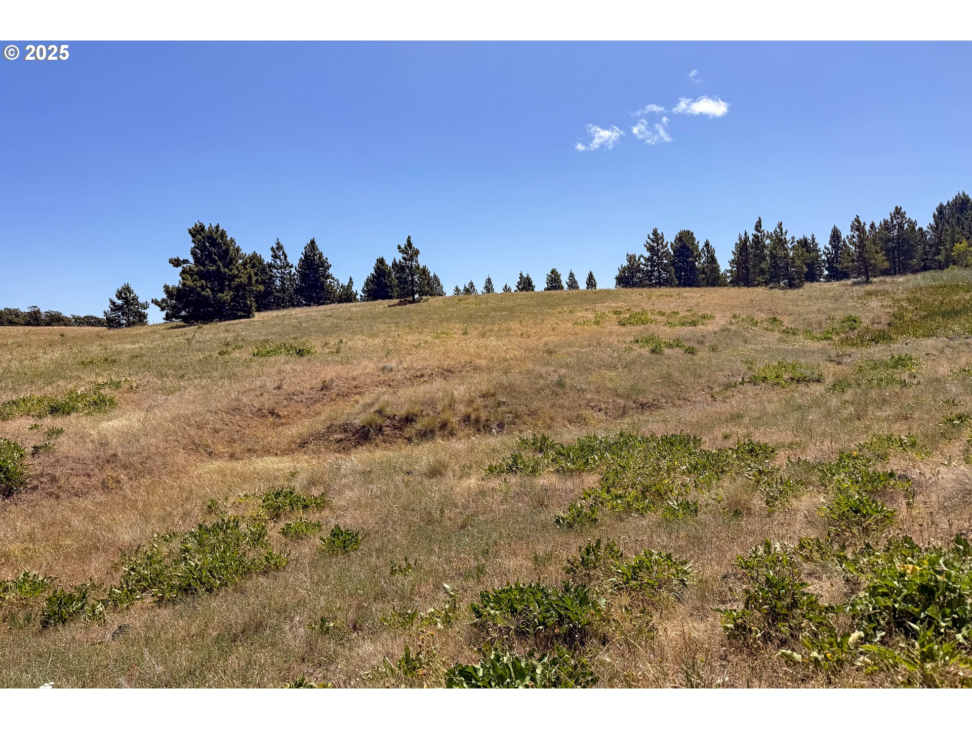 4143200000700 4143200000700th Lyle, WA 98635 - Photo 12 of 26