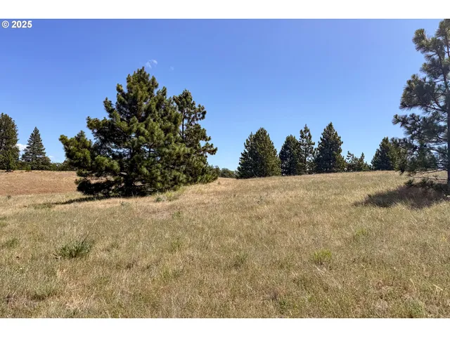 $35,000 | 4143200000700 4143200000700th, Lyle, WA 98635