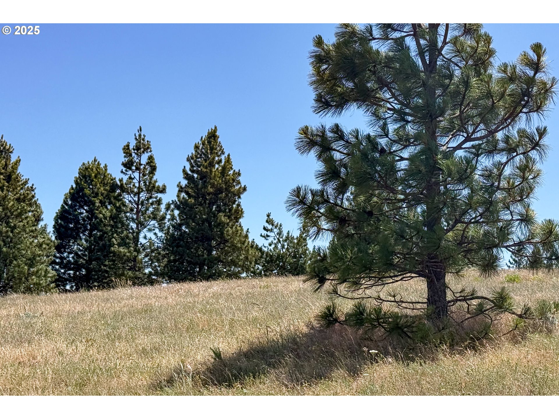 4143200000700 4143200000700th Lyle, WA 98635 - Photo 16 of 26