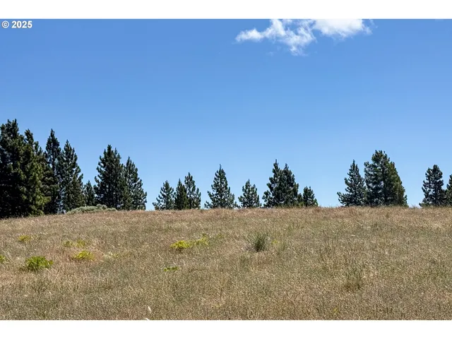 $35,000 | 4143200000700 4143200000700th, Lyle, WA 98635