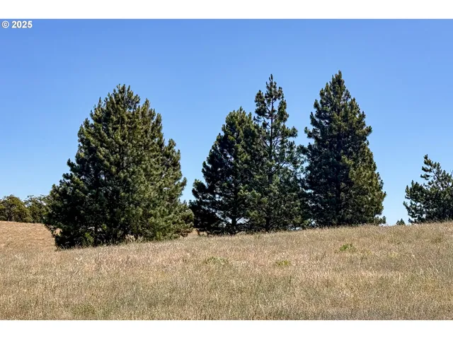 $35,000 | 4143200000700 4143200000700th, Lyle, WA 98635