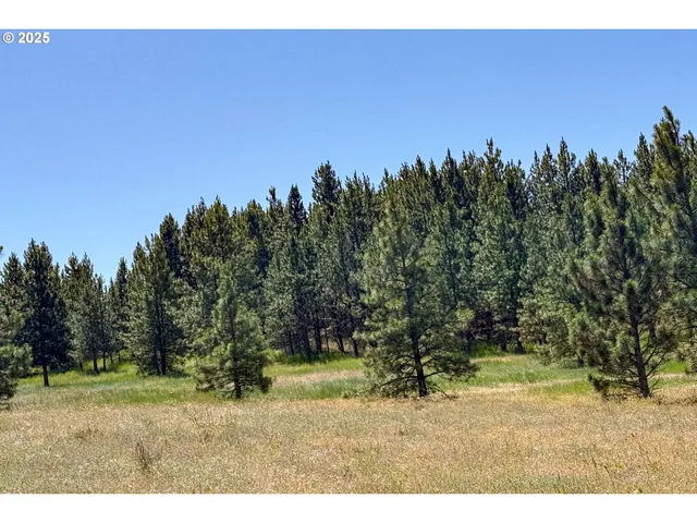 $35,000 | 4143200000700 4143200000700th, Lyle, WA 98635
