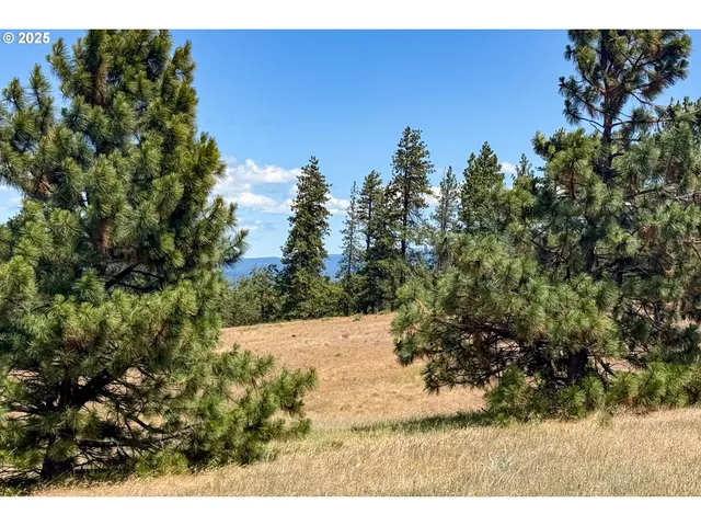 $35,000 | 4143200000700 4143200000700th, Lyle, WA 98635