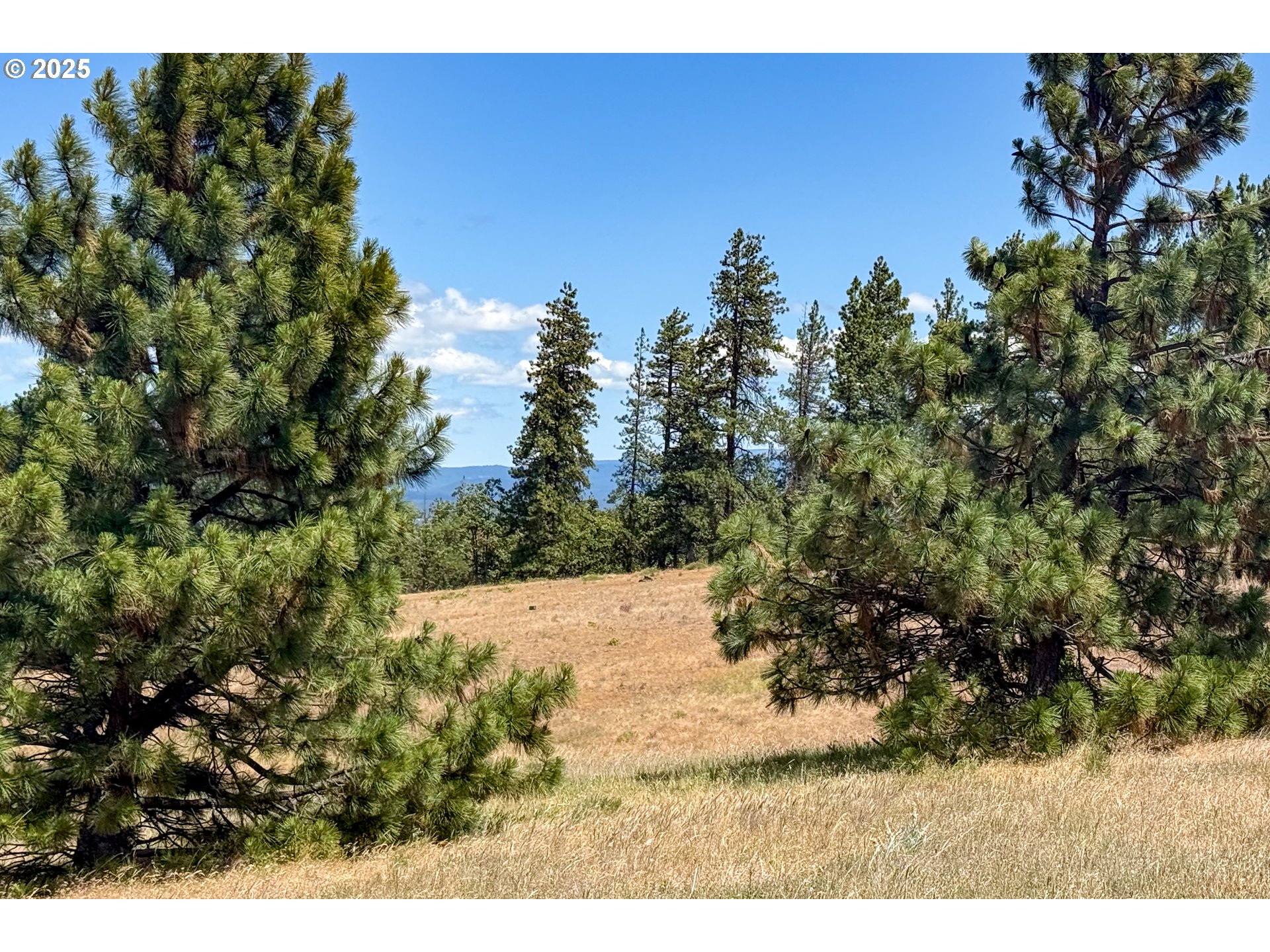 4143200000700 4143200000700th Lyle, WA 98635 - Photo 20 of 26