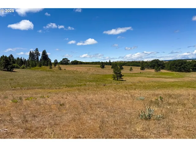 $35,000 | 4143200000700 4143200000700th, Lyle, WA 98635