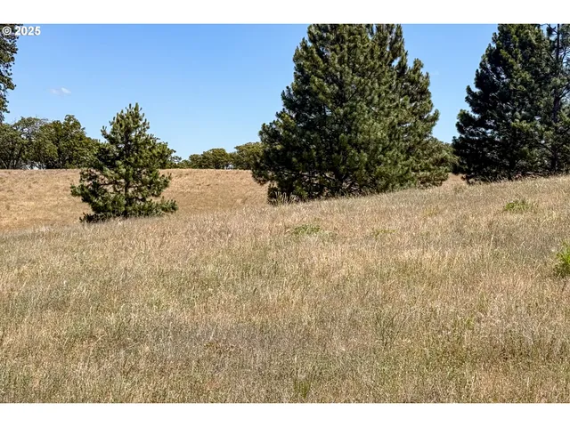 $35,000 | 4143200000700 4143200000700th, Lyle, WA 98635