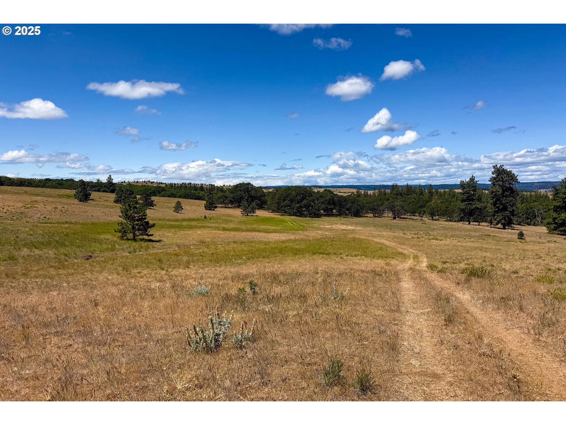 4143200000700 4143200000700th Lyle, WA 98635 - Photo 3 of 26