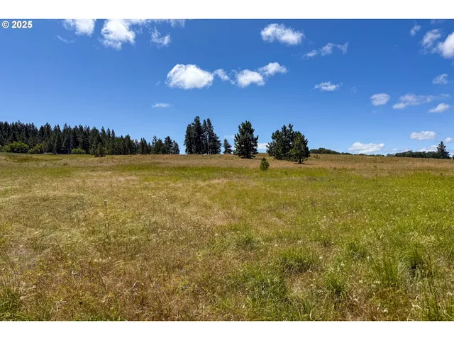 $35,000 | 4143200000700 4143200000700th, Lyle, WA 98635