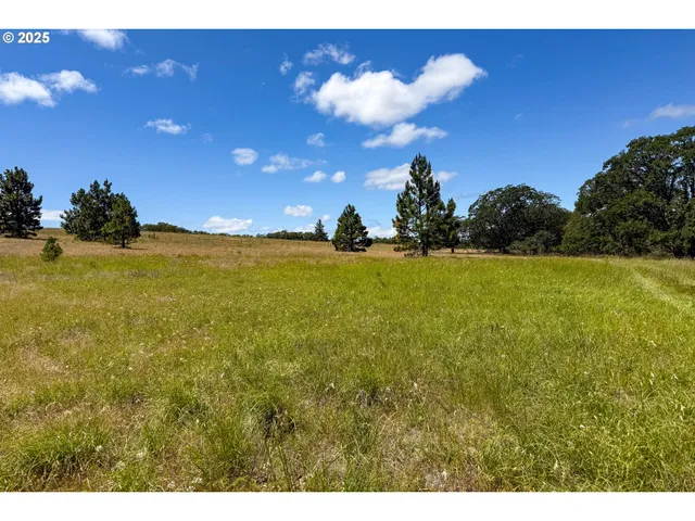$35,000 | 4143200000700 4143200000700th, Lyle, WA 98635