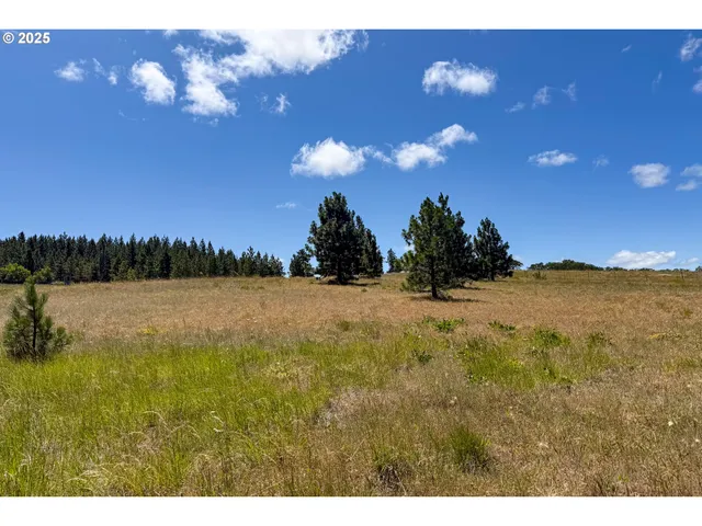 $35,000 | 4143200000700 4143200000700th, Lyle, WA 98635