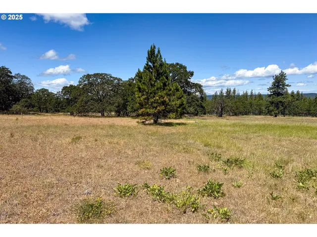 $35,000 | 4143200000700 4143200000700th, Lyle, WA 98635