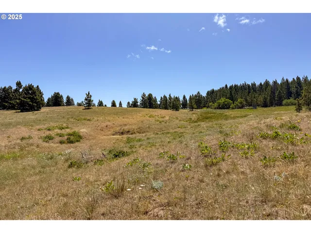 $35,000 | 4143200000700 4143200000700th, Lyle, WA 98635