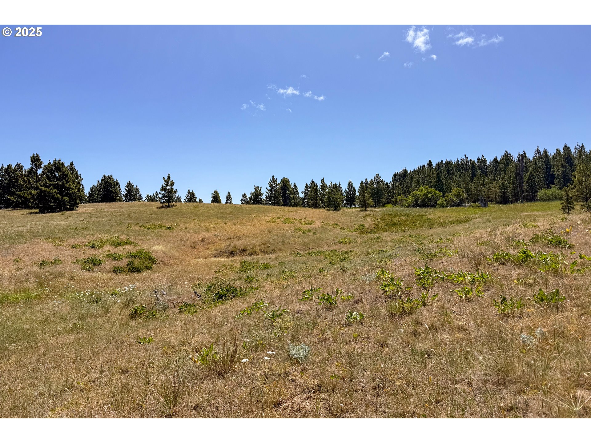 4143200000700 4143200000700th Lyle, WA 98635 - Photo 9 of 26